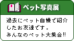 ［ペット写真展］過去にペット自慢で紹介したお友達です。みんなのペット大集合!!