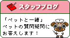 スタッフブログ『ペットと一緒』ペットの質問疑問にお答えします！