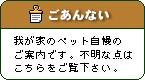 ［我が家のペット自慢のごあんない］不明な点はこちらをご覧下さい。