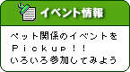 ［イベント情報］ペット関係のイベントをピックアップ！！いろいろ参加してみよう