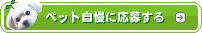 �䂪�Ƃ̃y�b�g�����ɉ��傷��